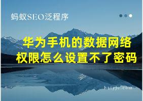 华为手机的数据网络权限怎么设置不了密码