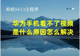 华为手机看不了视频是什么原因怎么解决