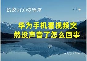 华为手机看视频突然没声音了怎么回事