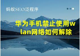 华为手机禁止使用wlan网络如何解除