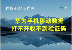 华为手机移动数据打不开收不到验证码