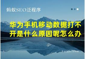 华为手机移动数据打不开是什么原因呢怎么办