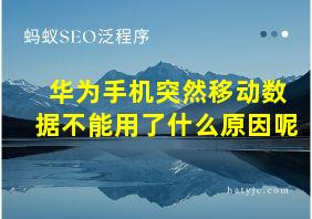 华为手机突然移动数据不能用了什么原因呢