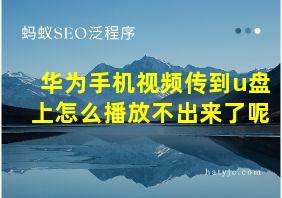 华为手机视频传到u盘上怎么播放不出来了呢