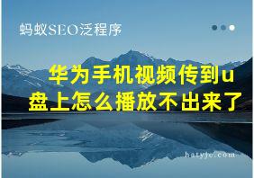 华为手机视频传到u盘上怎么播放不出来了