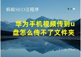 华为手机视频传到u盘怎么传不了文件夹