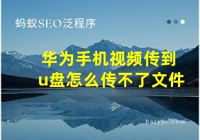 华为手机视频传到u盘怎么传不了文件