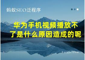 华为手机视频播放不了是什么原因造成的呢