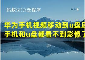 华为手机视频移动到u盘后手机和u盘都看不到影像了