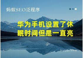 华为手机设置了休眠时间但是一直亮