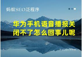 华为手机语音播报关闭不了怎么回事儿呢