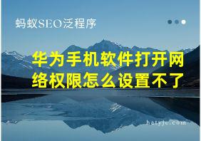 华为手机软件打开网络权限怎么设置不了