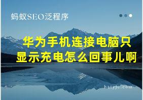 华为手机连接电脑只显示充电怎么回事儿啊