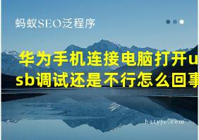 华为手机连接电脑打开usb调试还是不行怎么回事