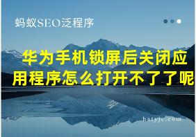 华为手机锁屏后关闭应用程序怎么打开不了了呢