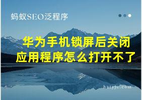 华为手机锁屏后关闭应用程序怎么打开不了