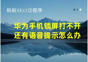 华为手机锁屏打不开还有语音提示怎么办