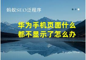 华为手机页面什么都不显示了怎么办