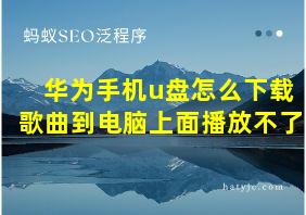 华为手机u盘怎么下载歌曲到电脑上面播放不了