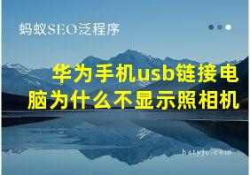 华为手机usb链接电脑为什么不显示照相机