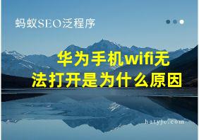 华为手机wifi无法打开是为什么原因