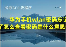 华为手机wlan密码忘记了怎么查看密码是什么意思啊