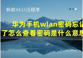 华为手机wlan密码忘记了怎么查看密码是什么意思