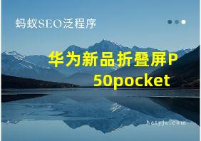 华为新品折叠屏P50pocket