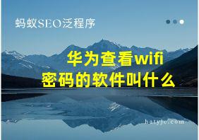 华为查看wifi密码的软件叫什么