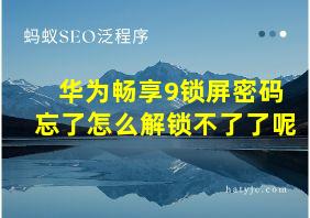 华为畅享9锁屏密码忘了怎么解锁不了了呢