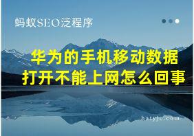 华为的手机移动数据打开不能上网怎么回事