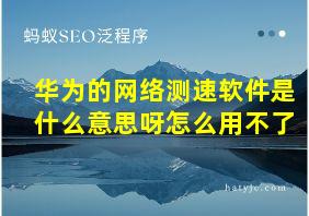 华为的网络测速软件是什么意思呀怎么用不了