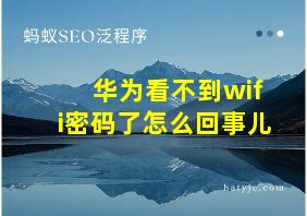 华为看不到wifi密码了怎么回事儿