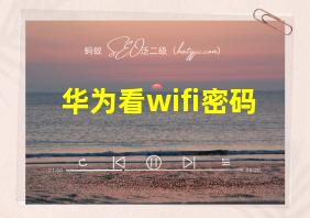 华为看wifi密码