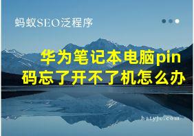 华为笔记本电脑pin码忘了开不了机怎么办