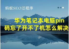 华为笔记本电脑pin码忘了开不了机怎么解决