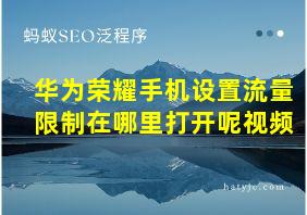 华为荣耀手机设置流量限制在哪里打开呢视频