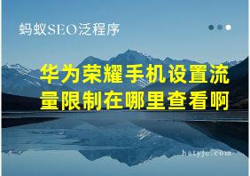 华为荣耀手机设置流量限制在哪里查看啊