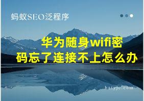 华为随身wifi密码忘了连接不上怎么办