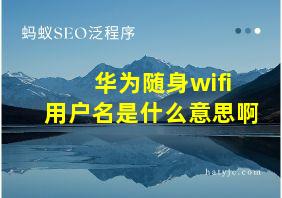 华为随身wifi用户名是什么意思啊