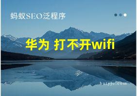 华为 打不开wifi