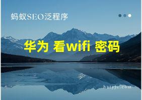 华为 看wifi 密码