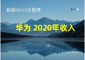 华为 2020年收入