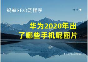 华为2020年出了哪些手机呢图片