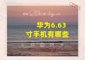 华为6.63寸手机有哪些