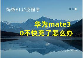 华为mate30不快充了怎么办