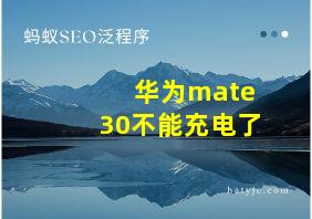 华为mate30不能充电了