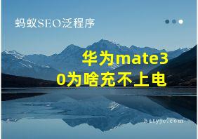 华为mate30为啥充不上电