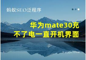 华为mate30充不了电一直开机界面