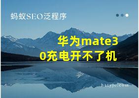 华为mate30充电开不了机